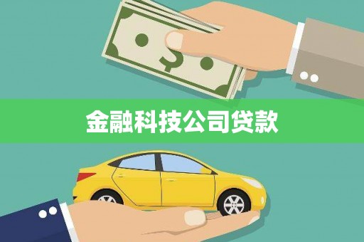 阳高金融科技公司贷款