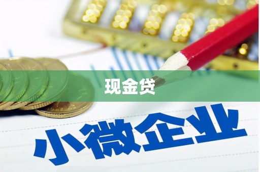 阳高现金贷