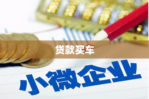 阳高贷款买车