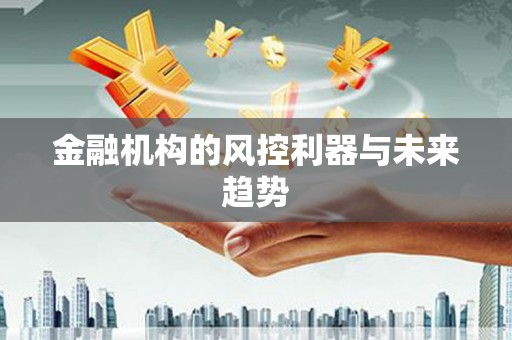 阳高金融机构的风控利器与未来趋势