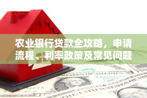阳高农业银行贷款全攻略，申请流程、利率政策及常见问题解析