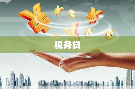 阳高税务贷