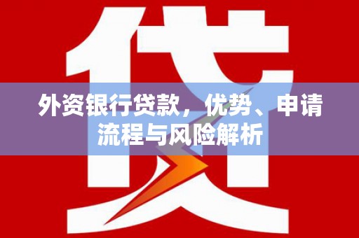 阳高外资银行贷款，优势、申请流程与风险解析