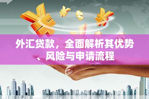 阳高外汇贷款，全面解析其优势、风险与申请流程