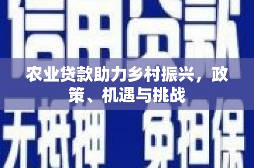 阳高农业贷款助力乡村振兴，政策、机遇与挑战