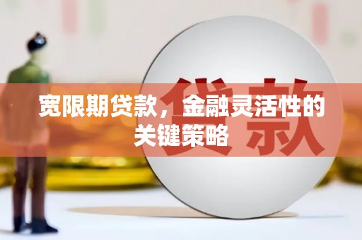 阳高宽限期贷款，金融灵活性的关键策略