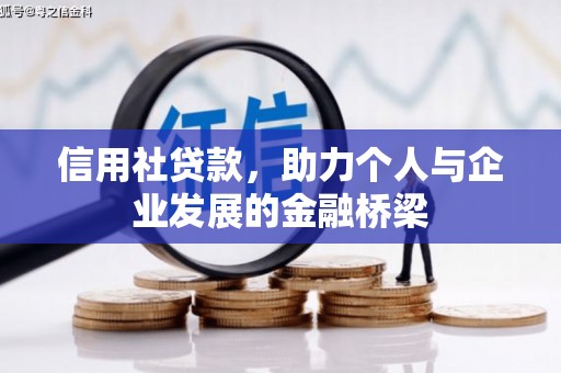 阳高信用社贷款，助力个人与企业发展的金融桥梁