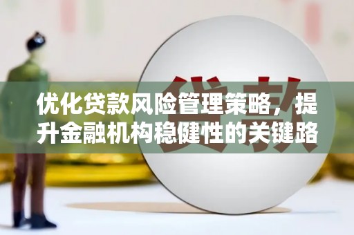 阳高优化贷款风险管理策略，提升金融机构稳健性的关键路径
