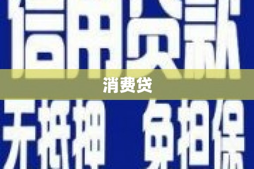 阳高消费贷