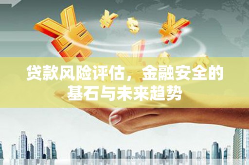 阳高贷款风险评估，金融安全的基石与未来趋势