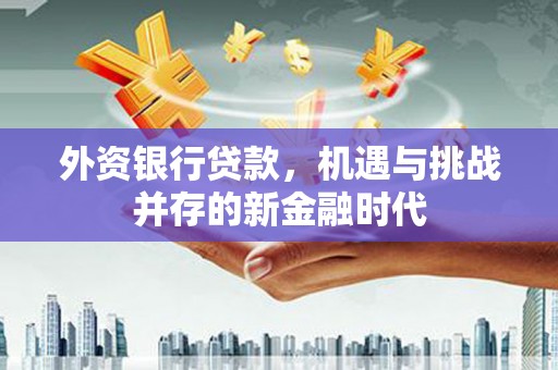 阳高外资银行贷款，机遇与挑战并存的新金融时代