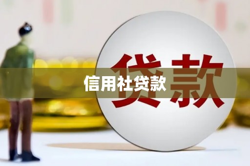 阳高信用社贷款