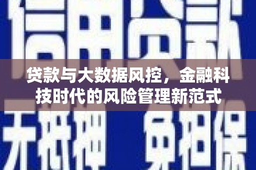 阳高贷款与大数据风控，金融科技时代的风险管理新范式