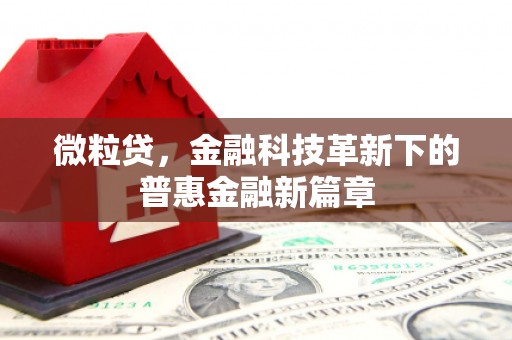 阳高微粒贷，金融科技革新下的普惠金融新篇章