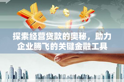 阳高探索经营贷款的奥秘，助力企业腾飞的关键金融工具
