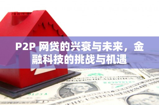 阳高P2P 网贷的兴衰与未来，金融科技的挑战与机遇