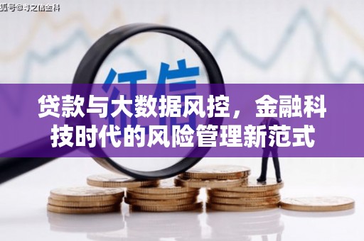阳高贷款与大数据风控，金融科技时代的风险管理新范式