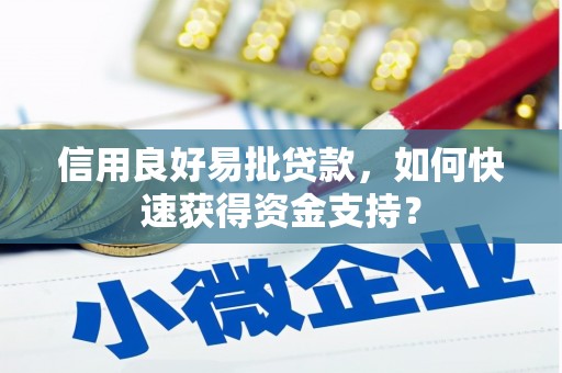 阳高信用良好易批贷款，如何快速获得资金支持？