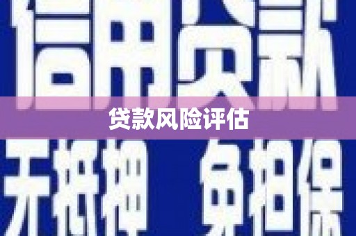 阳高贷款风险评估