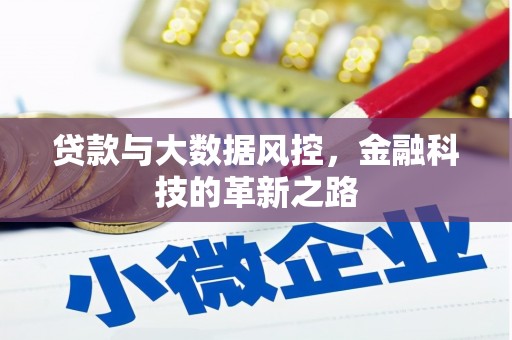 阳高贷款与大数据风控，金融科技的革新之路