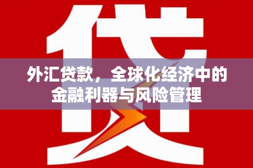 阳高外汇贷款，全球化经济中的金融利器与风险管理