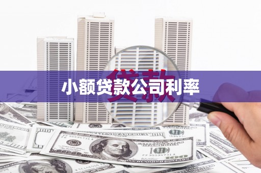 阳高小额贷款公司利率