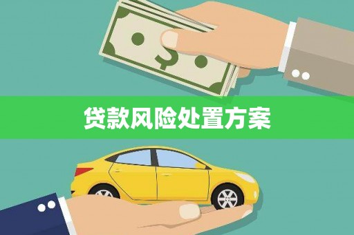 阳高贷款风险处置方案