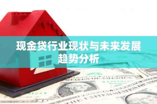 阳高现金贷行业现状与未来发展趋势分析
