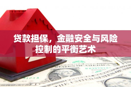 阳高贷款担保，金融安全与风险控制的平衡艺术