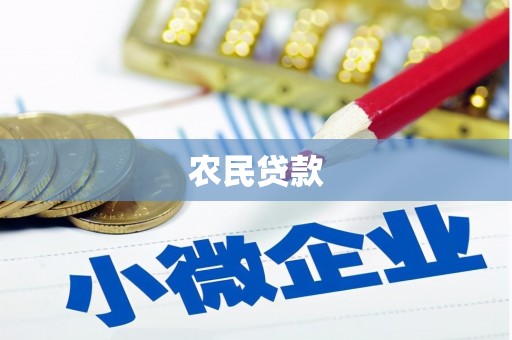 阳高农民贷款