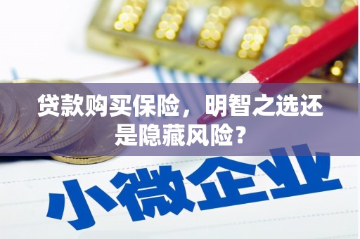 阳高贷款购买保险，明智之选还是隐藏风险？