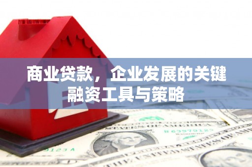 阳高商业贷款，企业发展的关键融资工具与策略