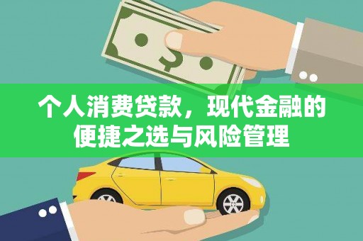 阳高个人消费贷款，现代金融的便捷之选与风险管理