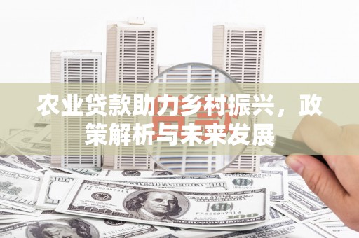 阳高农业贷款助力乡村振兴，政策解析与未来发展