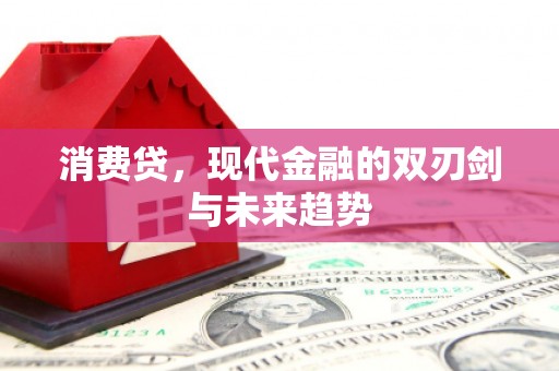 阳高消费贷，现代金融的双刃剑与未来趋势