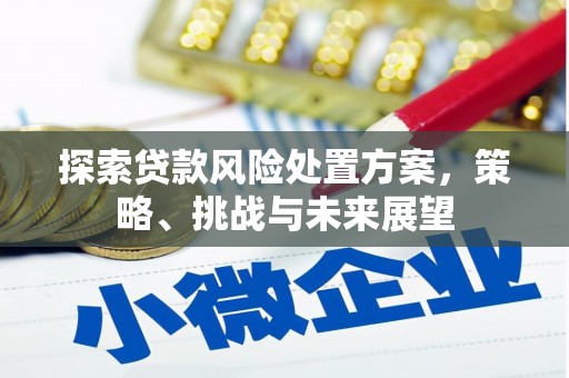 阳高探索贷款风险处置方案，策略、挑战与未来展望