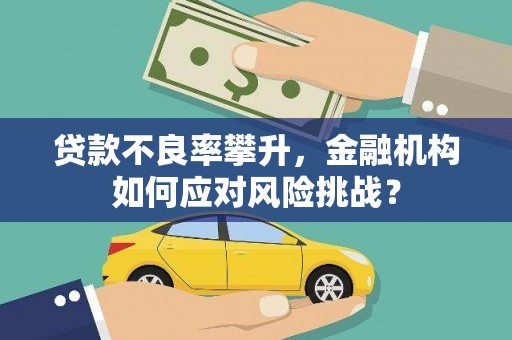 阳高贷款不良率攀升，金融机构如何应对风险挑战？