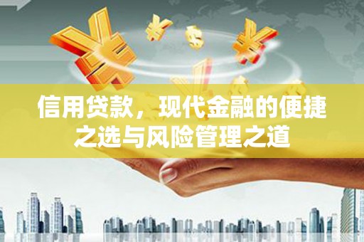 阳高信用贷款，现代金融的便捷之选与风险管理之道