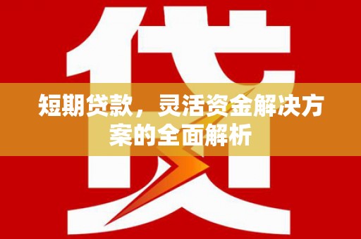阳高短期贷款，灵活资金解决方案的全面解析