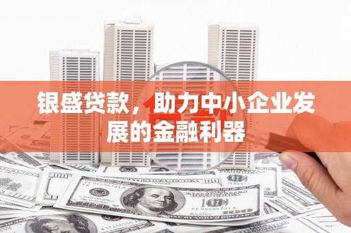 阳高银盛贷款，助力中小企业发展的金融利器