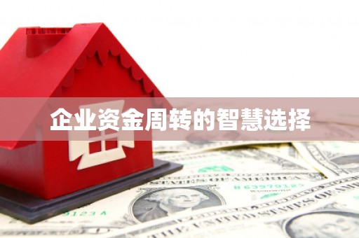 阳高企业资金周转的智慧选择