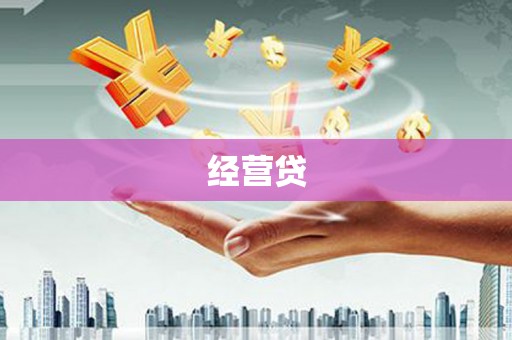 阳高经营贷