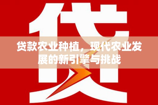 阳高贷款农业种植，现代农业发展的新引擎与挑战