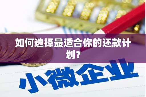 阳高如何选择最适合你的还款计划？