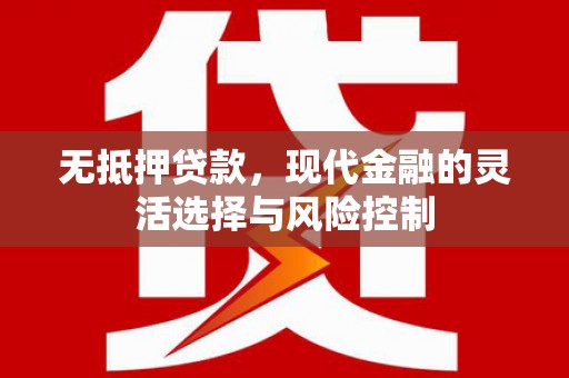 阳高无抵押贷款，现代金融的灵活选择与风险控制