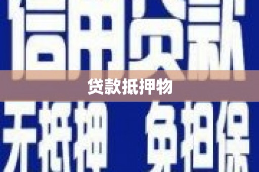 阳高贷款抵押物