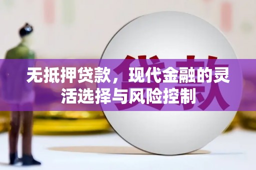 阳高无抵押贷款，现代金融的灵活选择与风险控制