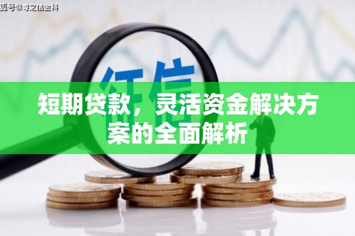 阳高短期贷款，灵活资金解决方案的全面解析