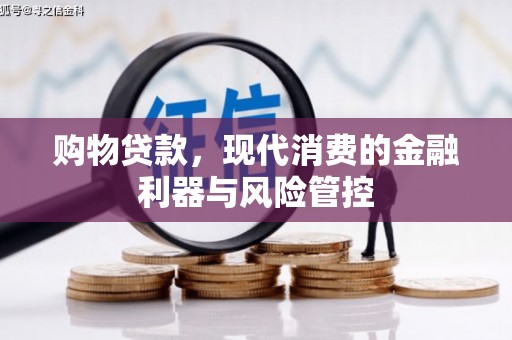 阳高购物贷款，现代消费的金融利器与风险管控