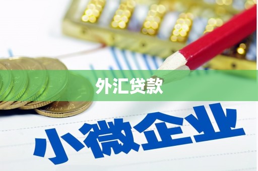 阳高外汇贷款